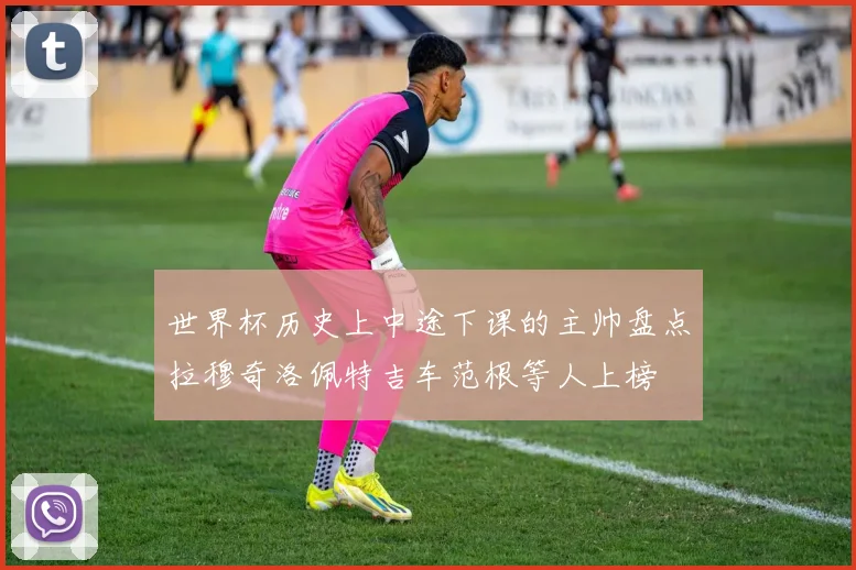 世界杯历史上中途下课的主帅盘点拉穆奇洛佩特吉车范根等人上榜